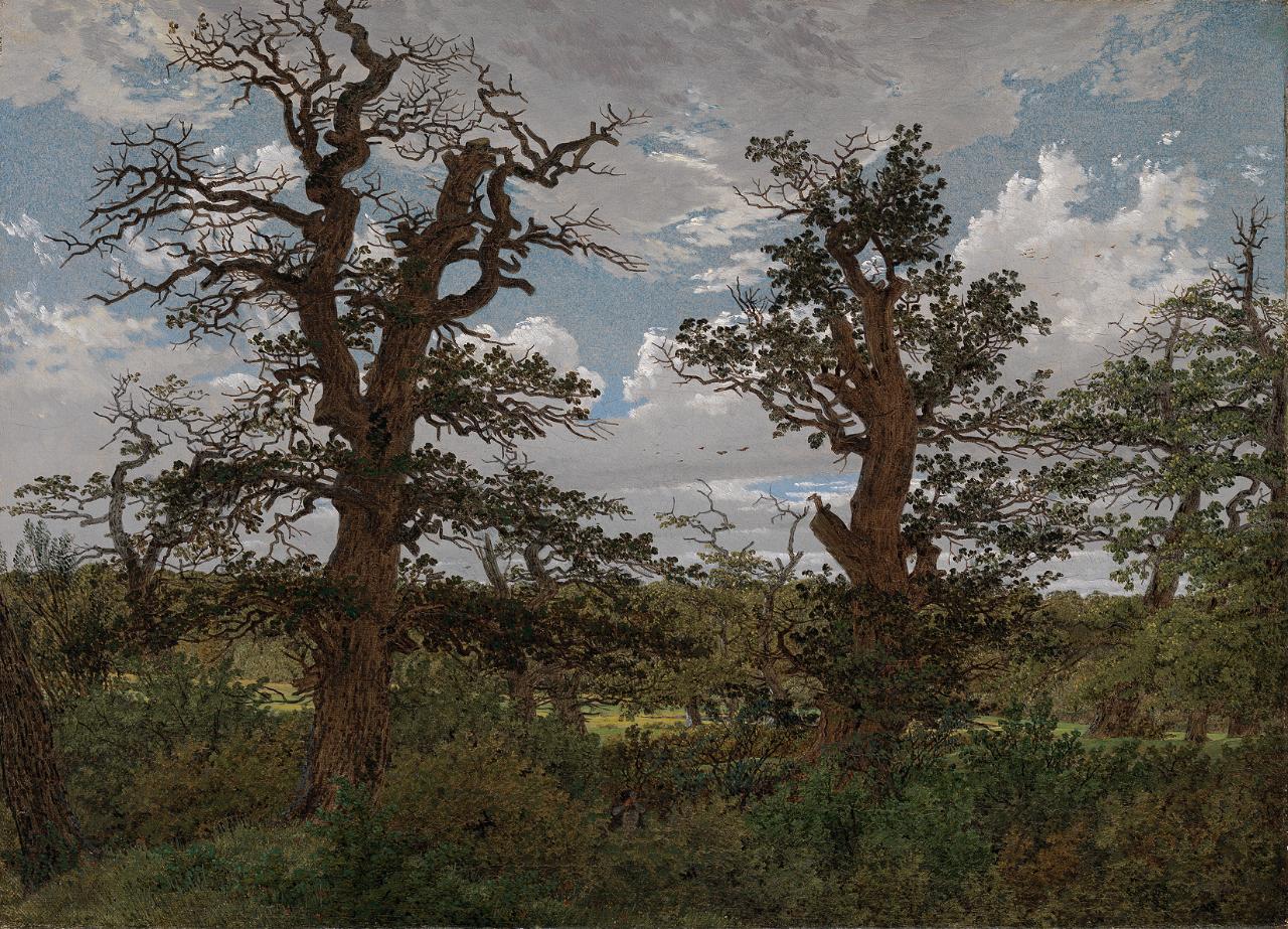 {{ product_title }} Fine Art Print | {{ product_vendor }} Jakero77 Caspar David Friedrich - Landscape Oak Trees Hunter (1811) Fine Art Print Art Print Jakero77