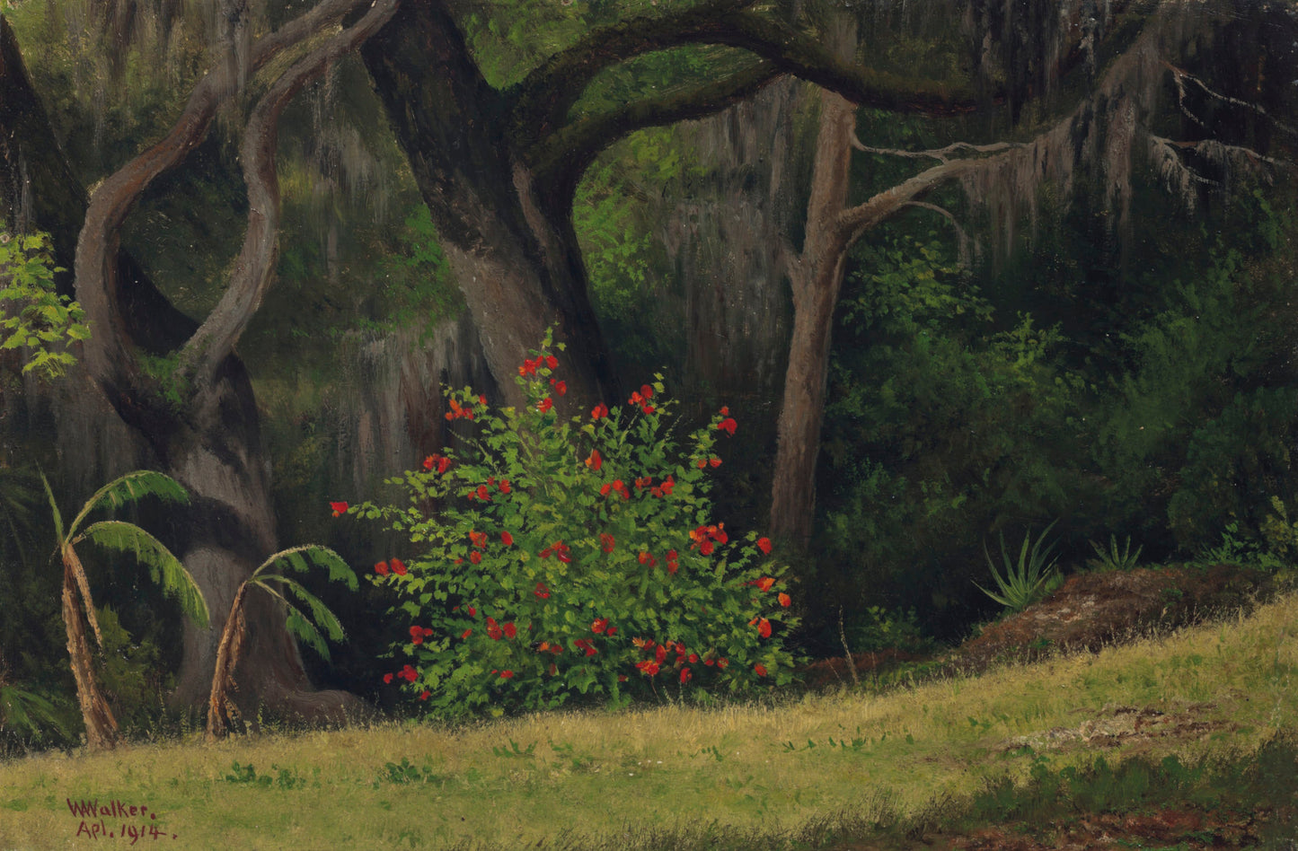 {{ product_title }} Fine Art Print | {{ product_vendor }} Jakero77 William Aiken Walker - Woodland Scene Red Flowered Bush (1914) Fine Art Print Art Print Jakero77