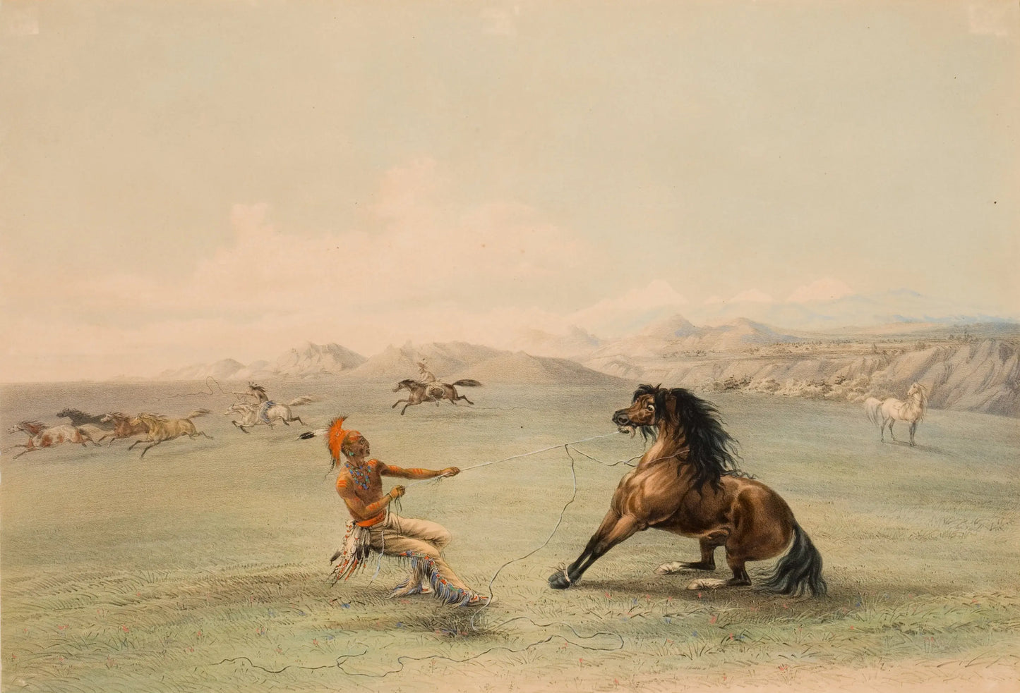 {{ product_title }} Fine Art Print | {{ product_vendor }} Jakero77 George Catlin - Catching the Wild Horse (1844) Fine Art Print Art Print Jakero77