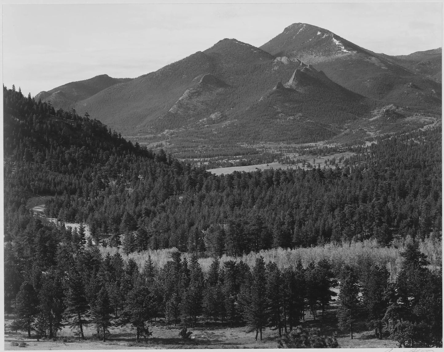 {{ product_title }} Fine Art Print | {{ product_vendor }} Jakero77 Ansel Adams - View of Trees Rocky Mountain Park (1939) - 17" x 22" Fine Art Print Art Print Jakero77