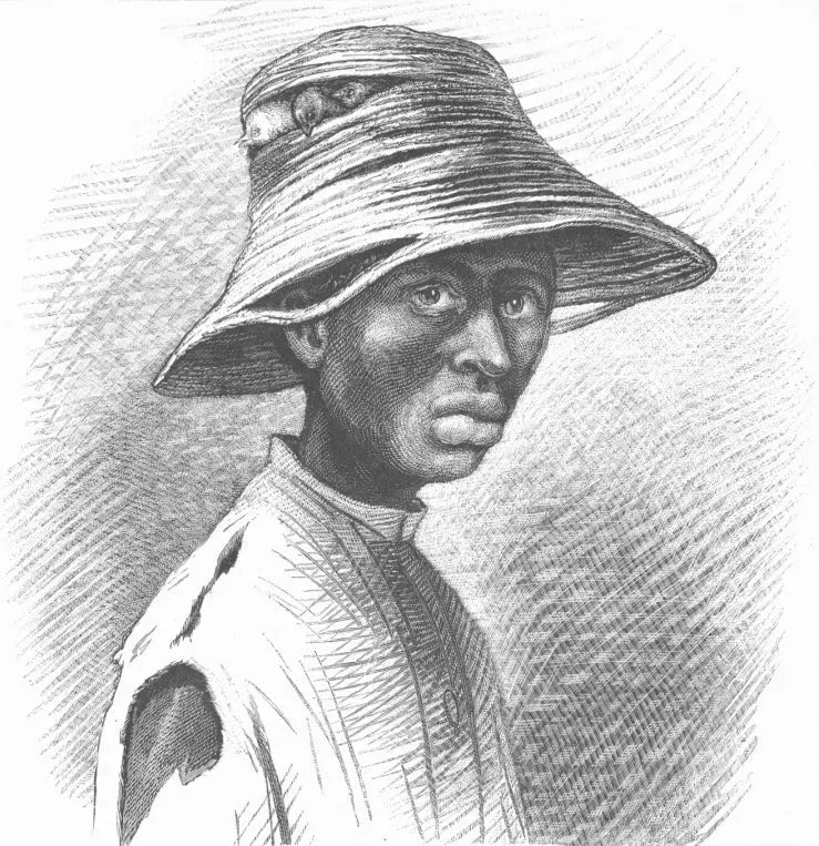 {{ product_title }} Fine Art Print | {{ product_vendor }} Jakero77 Cassius M. Coolidge - Injured Innocence (1878) Black Man, Birds in Hat - 17" x 22" Fine Art Print Art Print Jakero77