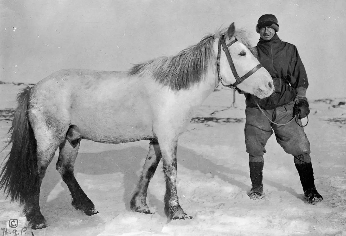 {{ product_title }} Fine Art Print | {{ product_vendor }} Jakero77 Herbert Ponting - Dr. Edward Wilson & Nobby the Pony, Antarctica (1911) - 17"x22" Fine Art Print Art Print Jakero77