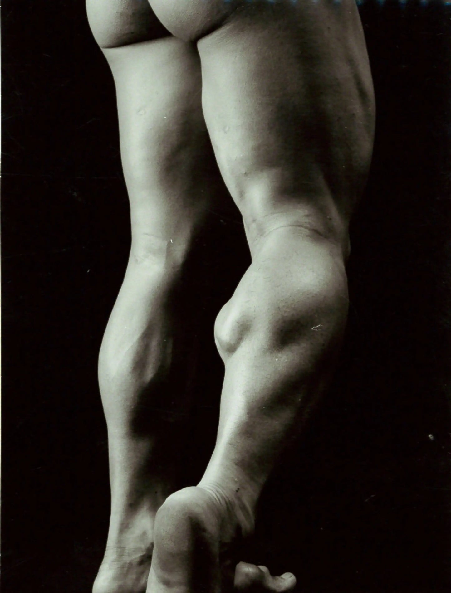 {{ product_title }} Fine Art Print | {{ product_vendor }}