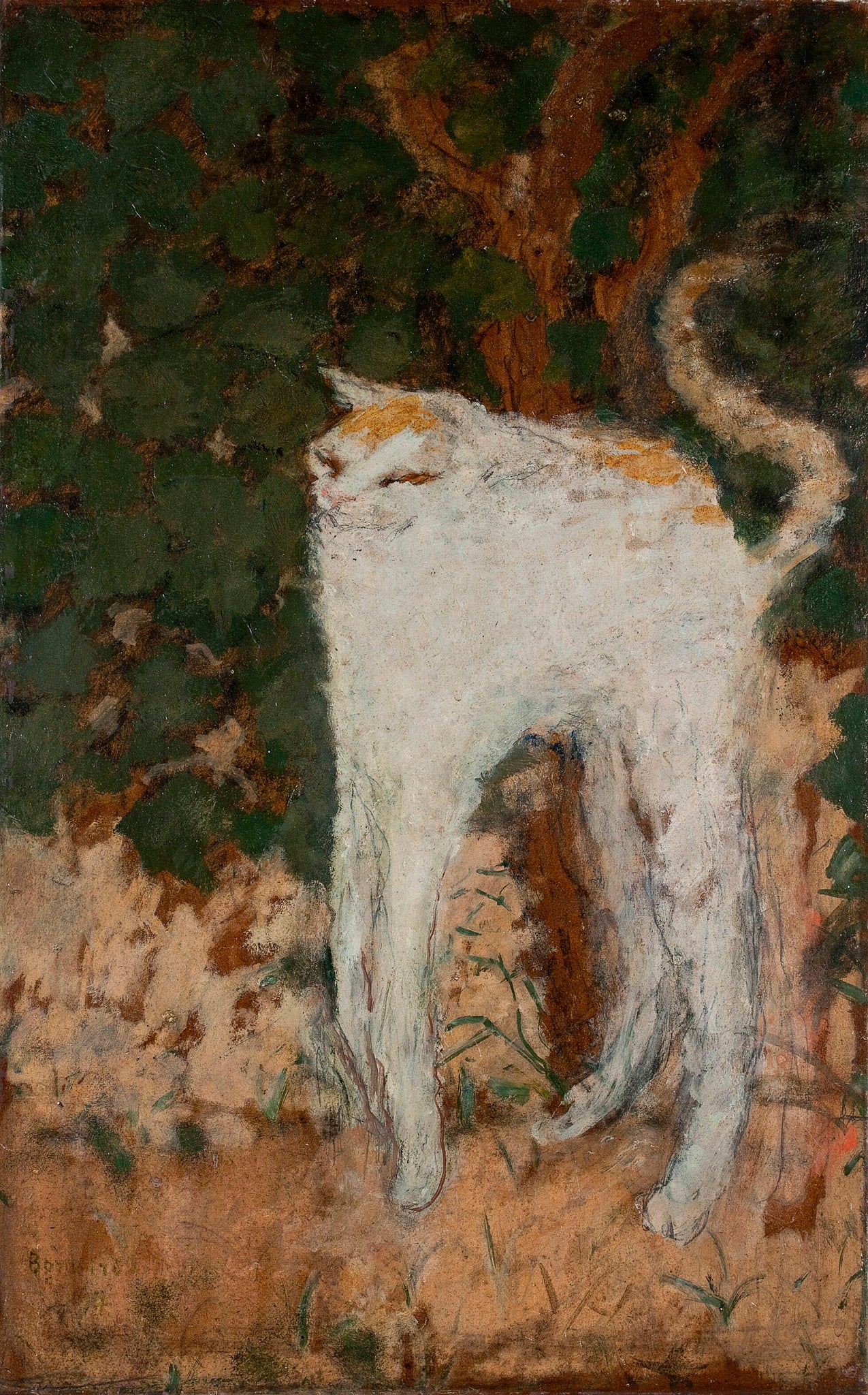 Pierre Bonnard - The White Cat (1894) - 17" x 22" Fine Art Print