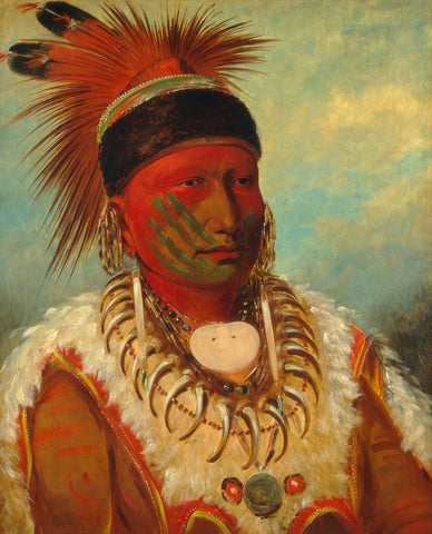 George Catlin - The White Cloud Head Chief of Iowas (1844) - 17" x 22" Art Print