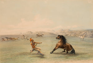 George Catlin - Catching the Wild Horse (1844) - 17" x 22" Fine Art Print