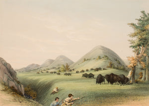 George Catlin - Buffalo Hunt, Approaching in a Ravine (1844) - 17"x22" Art Print