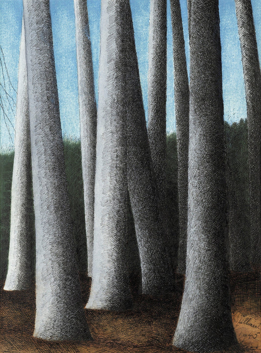 {{ product_title }} Fine Art Print | {{ product_vendor }} Jakero77 Léon Spilliaert - Trunks of Beech Trees (1945) Fine Art Print Art Print  Jakero77
