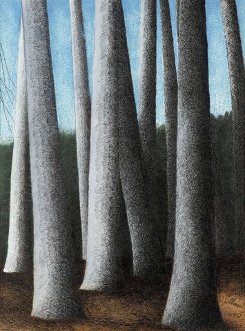 Léon Spilliaert - Trunks of Beech Trees (1945) - 17" x 22" Fine Art Print