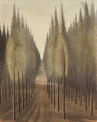 Leon Spilliaert - The Firebreak (1944) Tree Landscape - 17" x 22" Fine Art Print