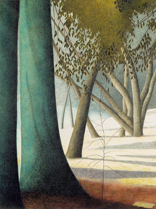 {{ product_title }} Fine Art Print | {{ product_vendor }} Jakero77 Léon Spilliaert - A Forest of Beech Trunks (1945) Fine Art Print Art Print  Jakero77