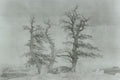 {{ product_title }} Fine Art Print | {{ product_vendor }} Jakero77 Caspar David Friedrich - Grave by the Sea (1807) Fine Art Print Art Print  Jakero77