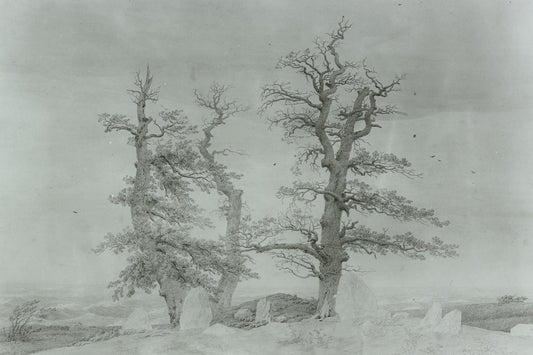 {{ product_title }} Fine Art Print | {{ product_vendor }} Jakero77 Caspar David Friedrich - Grave by the Sea (1807) Fine Art Print Art Print  Jakero77