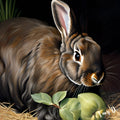 {{ product_title }} Fine Art Print | {{ product_vendor }} Jakero77 Amy Diab - Tranquility in the Meadow (2024) Hand-Signed Fine Art Print Art Print  Jakero77