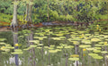 {{ product_title }} Fine Art Print | {{ product_vendor }} Jakero77 Gunnar Widforss - Water Lily Pond (1915) Fine Art Print Art Print  Jakero77