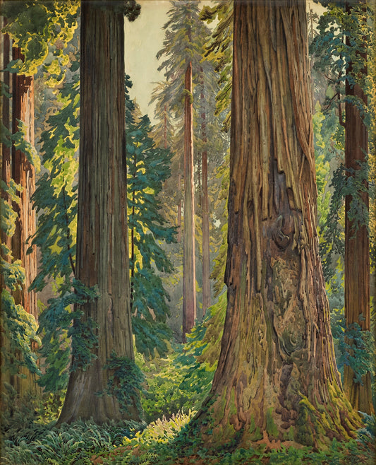{{ product_title }} Fine Art Print | {{ product_vendor }} Jakero77 Gunnar Widforss - Redwoods Humboldt County California (1925) Fine Art Print Art Print  Jakero77