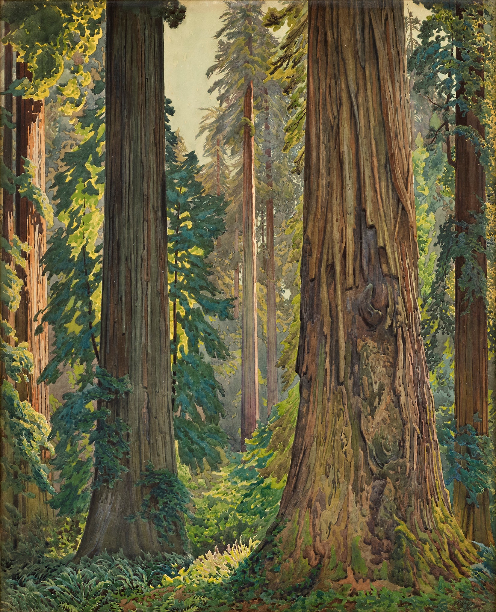 Gunnar Widforss - Redwoods Humboldt County California (1925) - 17"x22" Art Print