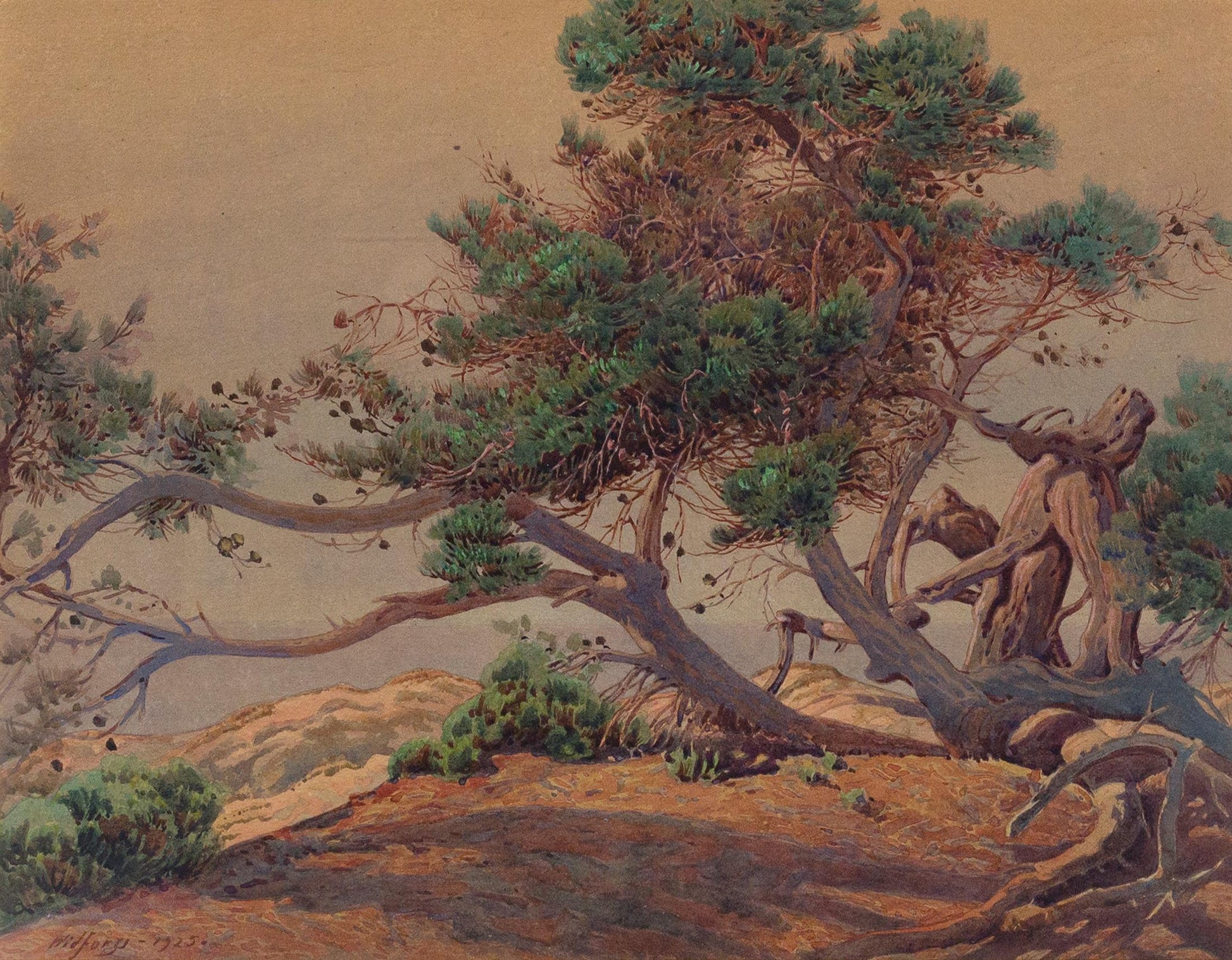 {{ product_title }} Fine Art Print | {{ product_vendor }} Jakero77 Gunnar Widforss - Monterey California (1925) Fine Art Print Art Print  Jakero77