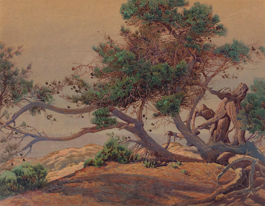 {{ product_title }} Fine Art Print | {{ product_vendor }} Jakero77 Gunnar Widforss - Monterey California (1925) Fine Art Print Art Print  Jakero77