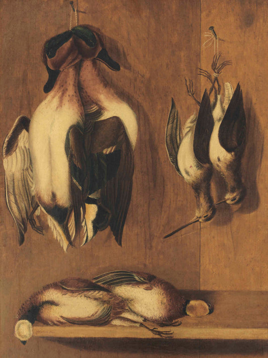 {{ product_title }} Fine Art Print | {{ product_vendor }} Jakero77 William Aiken Walker - Ducks, Bobwhites & Woodcocks (1866) Fine Art Print Art Print  Jakero77