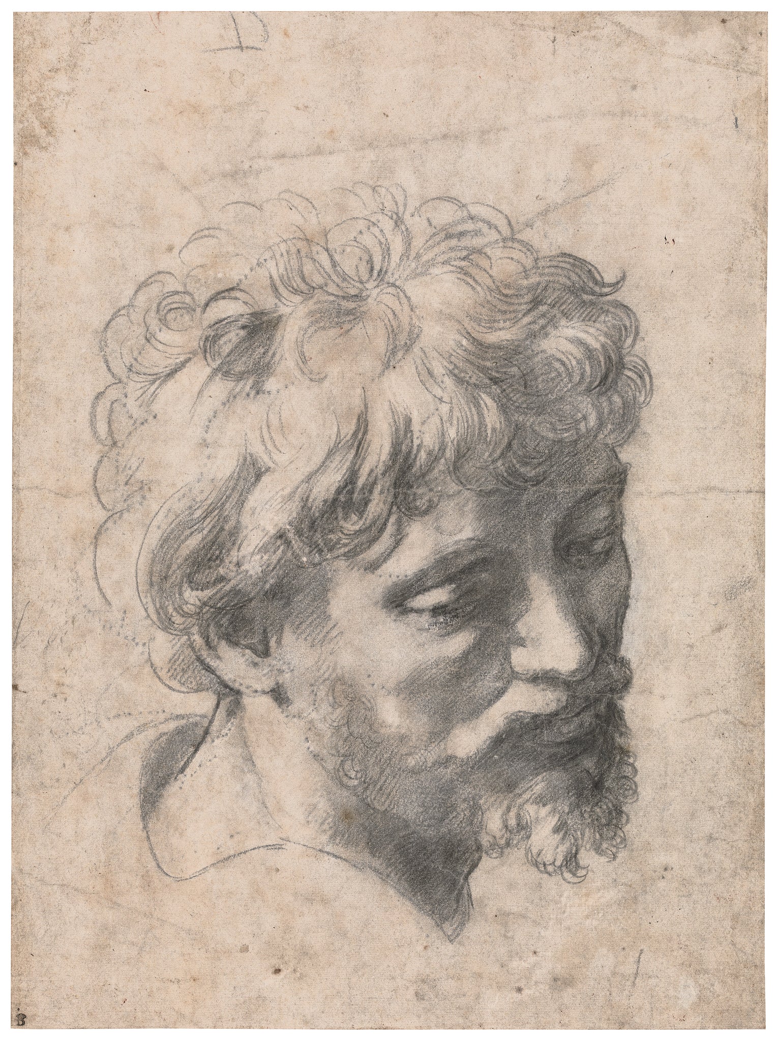 Raphael - Head of a Young Apostle (1518-20) Sketch - 17" x 22" Fine Art Print