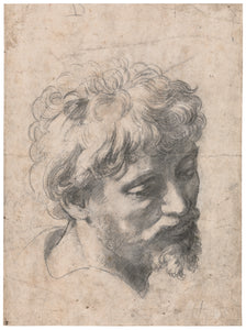 Raphael - Head of a Young Apostle (1518-20) Sketch - 17" x 22" Fine Art Print