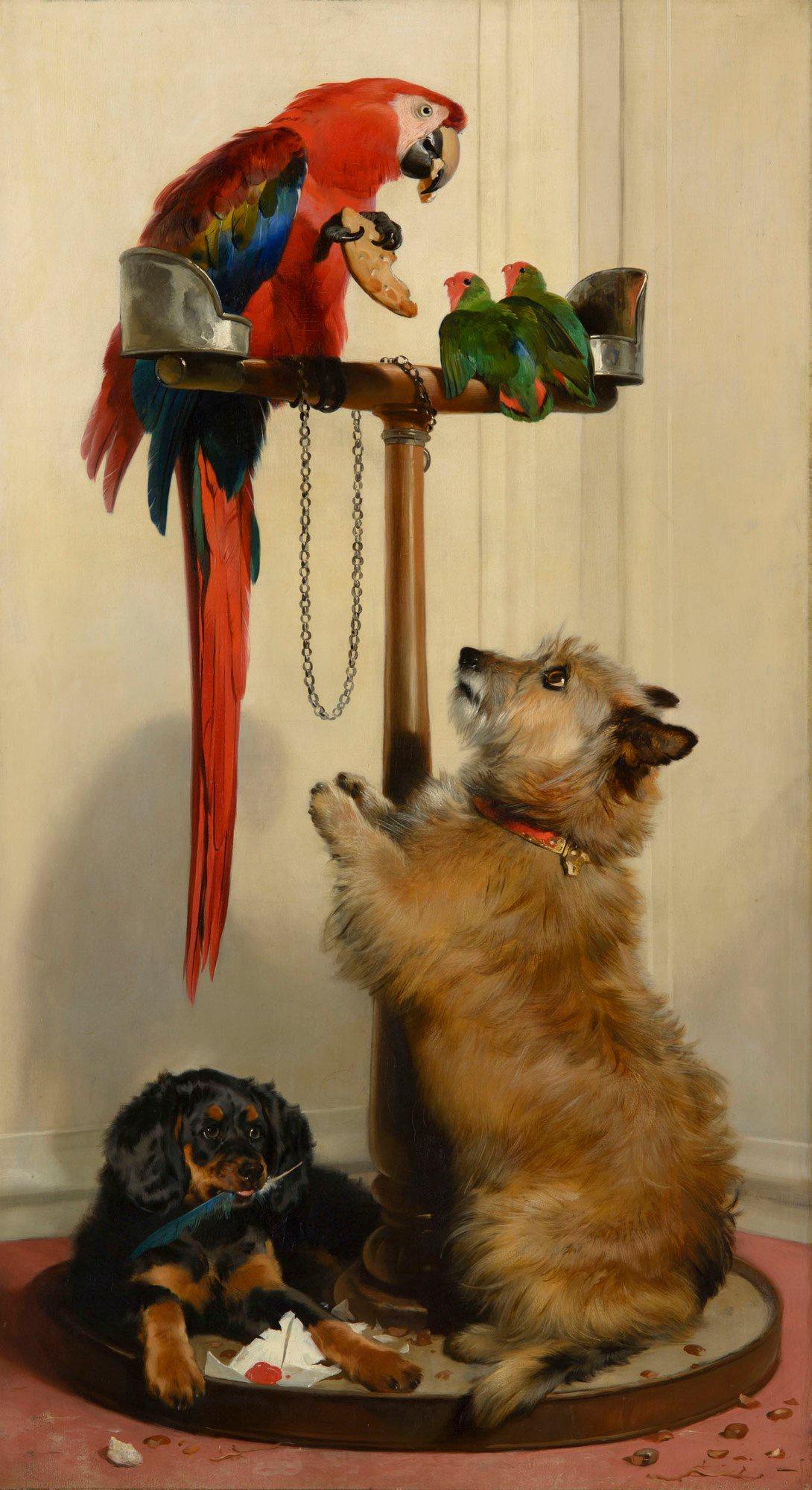 Edwin Henry Landseer - Islay, Tilco, a Macaw and Two Lovebirds (1839) - 17"x22" Fine Art Print