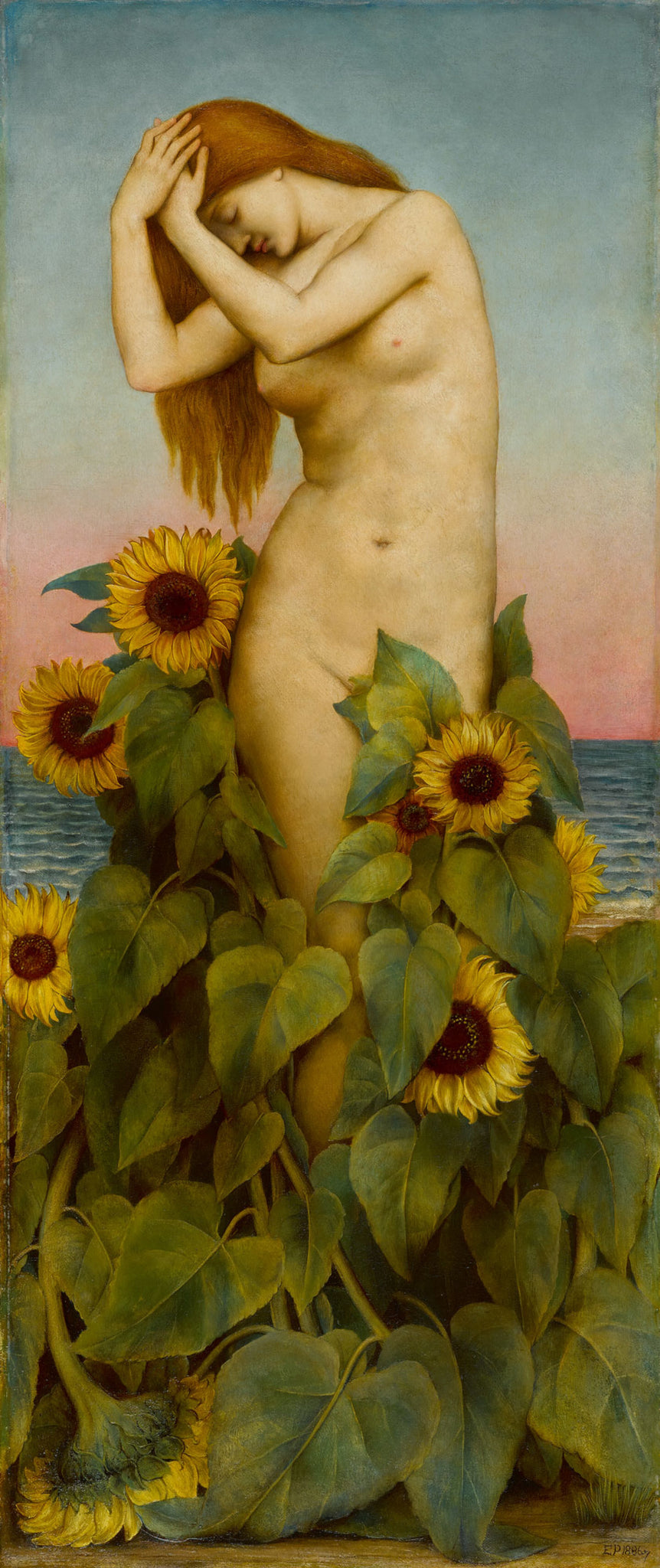 Evelyn Pickering De Morgan - Clytie (1886-87) Nude - 17" x 22" Fine Art Print