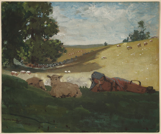 {{ product_title }} Fine Art Print | {{ product_vendor }} Jakero77 Winslow Homer Warm Afternoon Shepherdess (1878) Sheep Fine Art Print Art Print  Jakero77