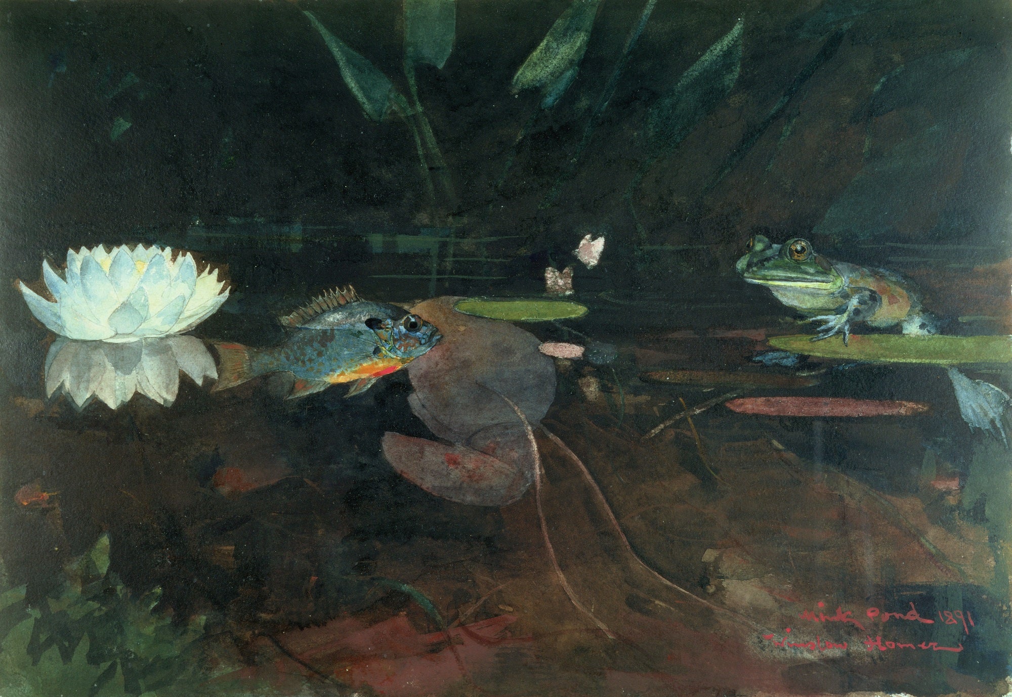 Winslow Homer Mink Pond 1891 Frog Fish Lily Pad Flower Fine Art Print 17" x 22"