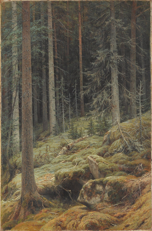 {{ product_title }} Fine Art Print | {{ product_vendor }} Jakero77 Ivan Shishkin Wilds 1881 Russian Forest Landscape Trees Fine Art Print Art Print  Jakero77