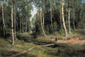 {{ product_title }} Fine Art Print | {{ product_vendor }} Jakero77 Ivan Shishkin Brook in a Birch Forest 1883 Russian Landscape Art Print Art Print  Jakero77