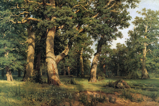 {{ product_title }} Fine Art Print | {{ product_vendor }} Jakero77 Ivan Shishkin Oak Grove 1887 Russian Forest Landscape Fine Art Print Art Print  Jakero77