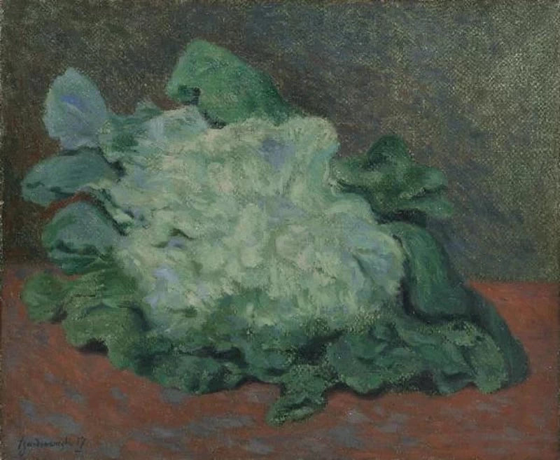 Federico Zandomeneghi Cauliflower 1917 Fine Art Print
