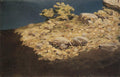 Arkhyp Kuindzhi Mountain Slope. Crimea 1890 Fine Art Print
