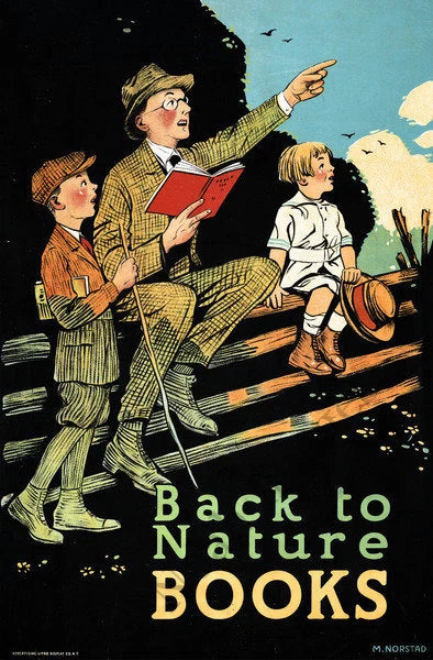 "Back to Nature" Reading Outdoors Vintage 1910 Fine Art Print