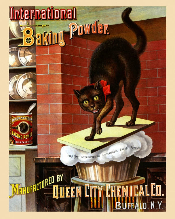 Baking Powder Vintage Style Advertising Poster 1885 Fine Art Print