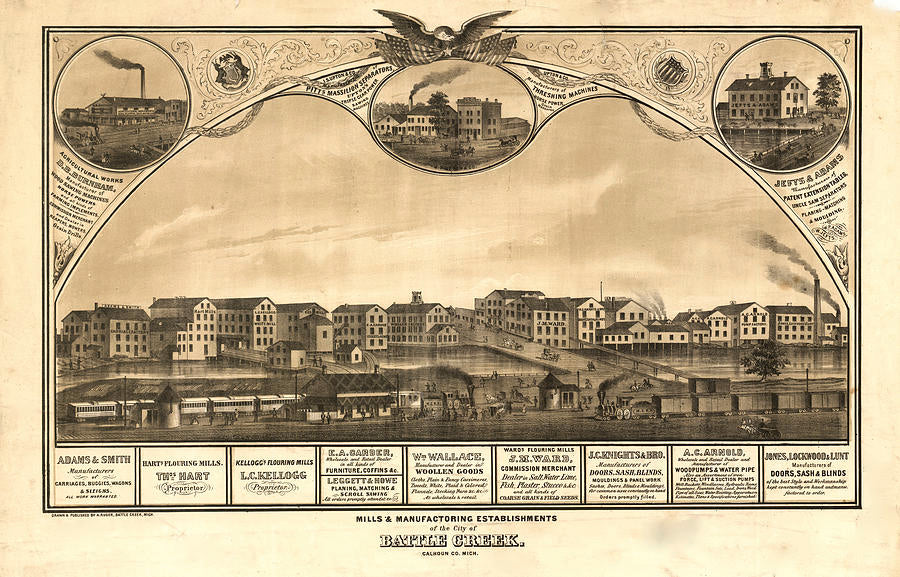 Battle Creek Michigan Historic Panoramic Town Map 1869 Fine Art Print