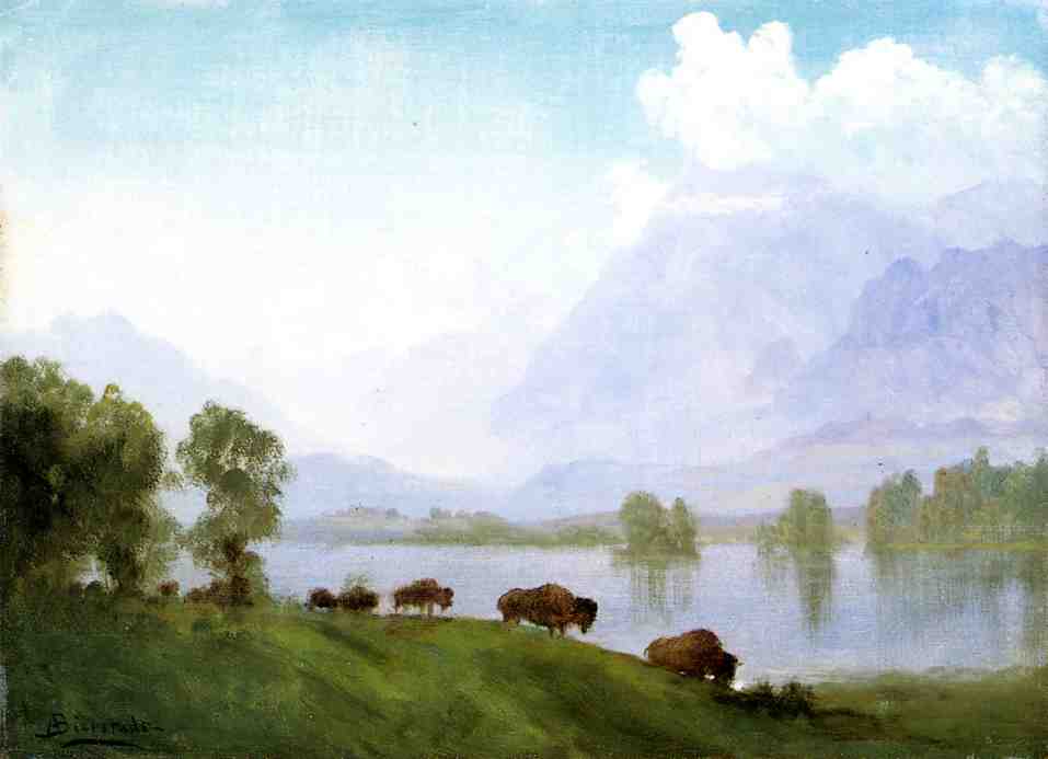 Albert Bierstadt Buffalo Country 1860 Fine Art Print