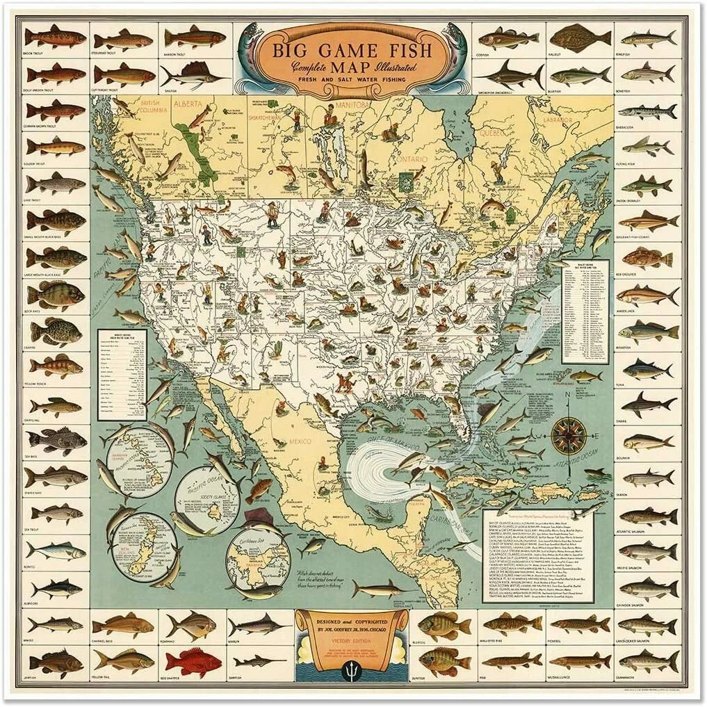 Big Game Fish Map Vintage Fishing Art Print Poster 1930 Fine Art Print