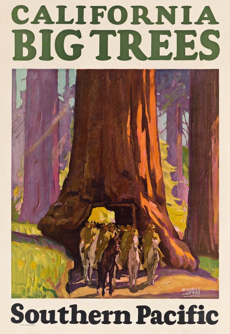 California Redwoods Big Trees Vintage Travel Poster 1927 Fine Art Print