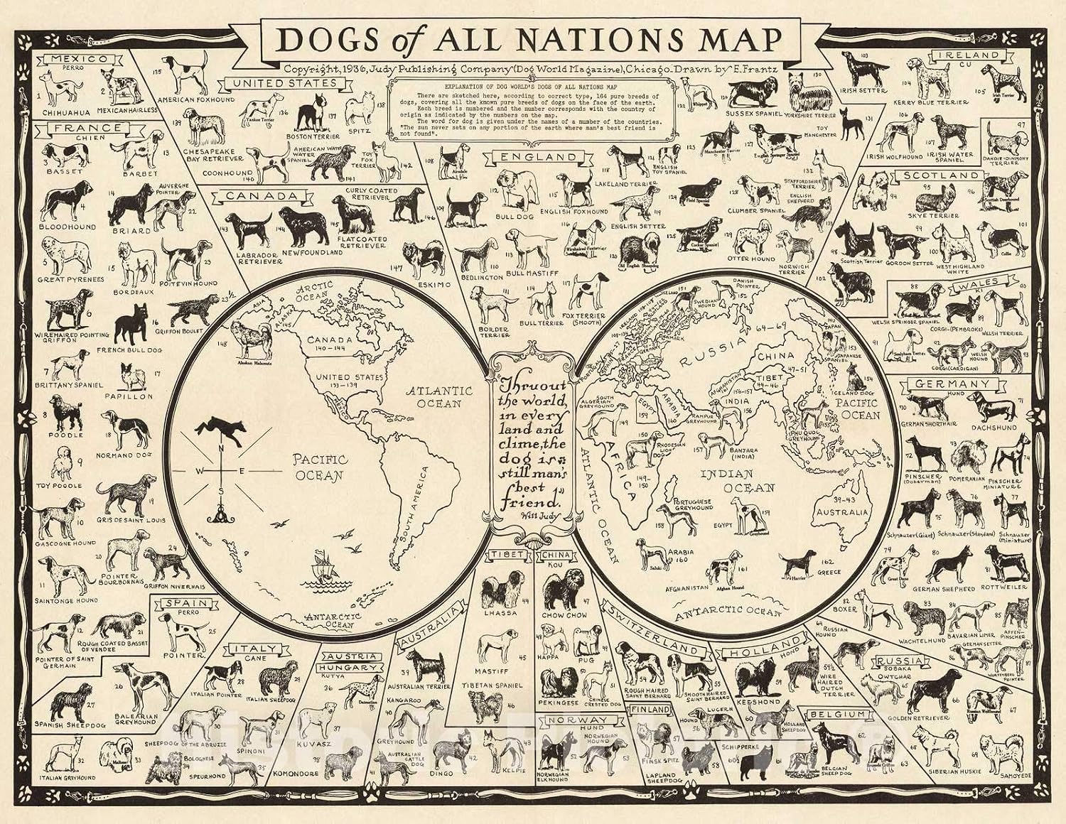 Dogs of the World Vintage Dog Breeds Chart Poster Print 1936 Fine Art Print