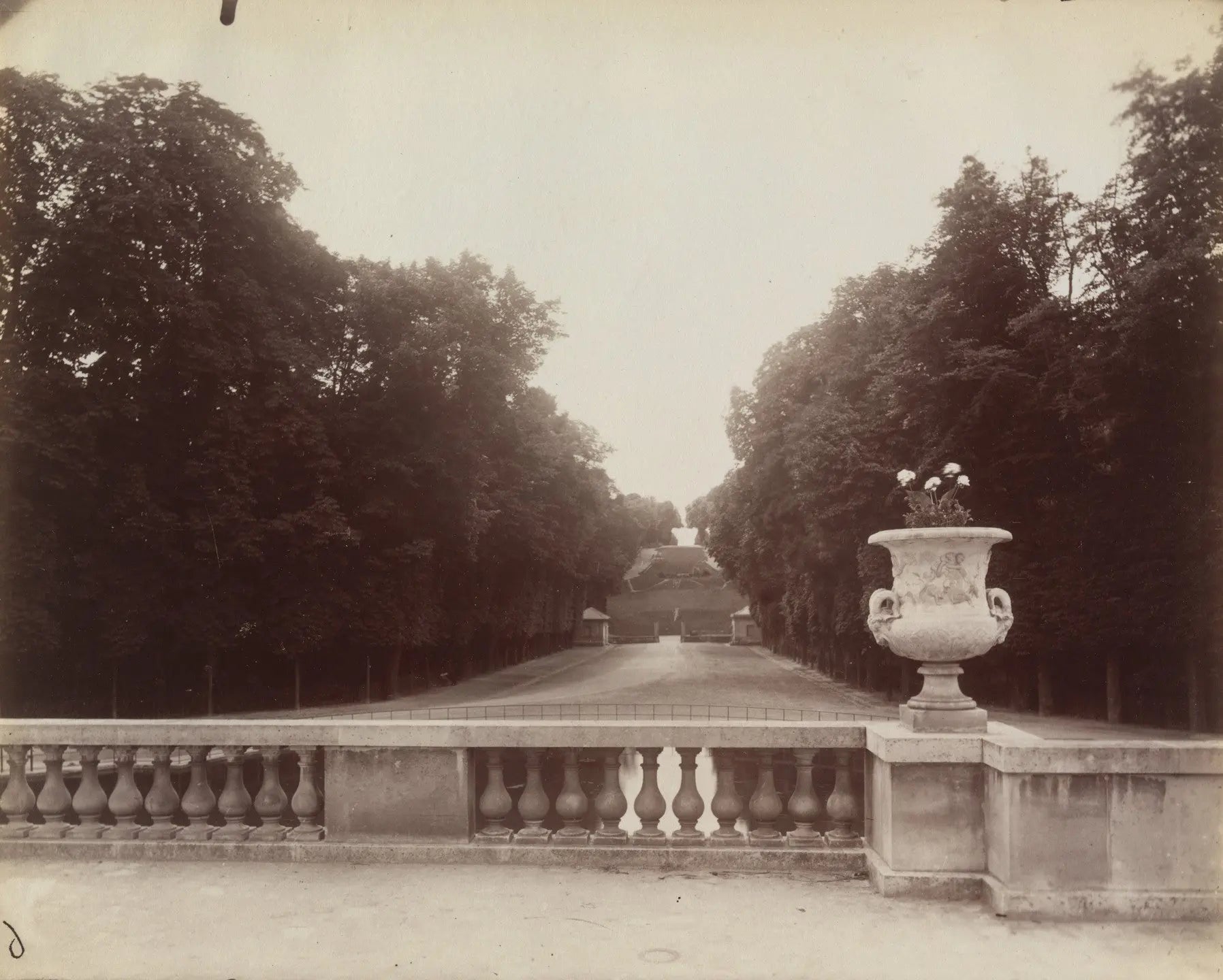 {{ product_title }} Fine Art Print | {{ product_vendor }} Jakero77 Eugene Atget - Saint Cloud France (1904) Fine Art Print Art Print  Jakero77