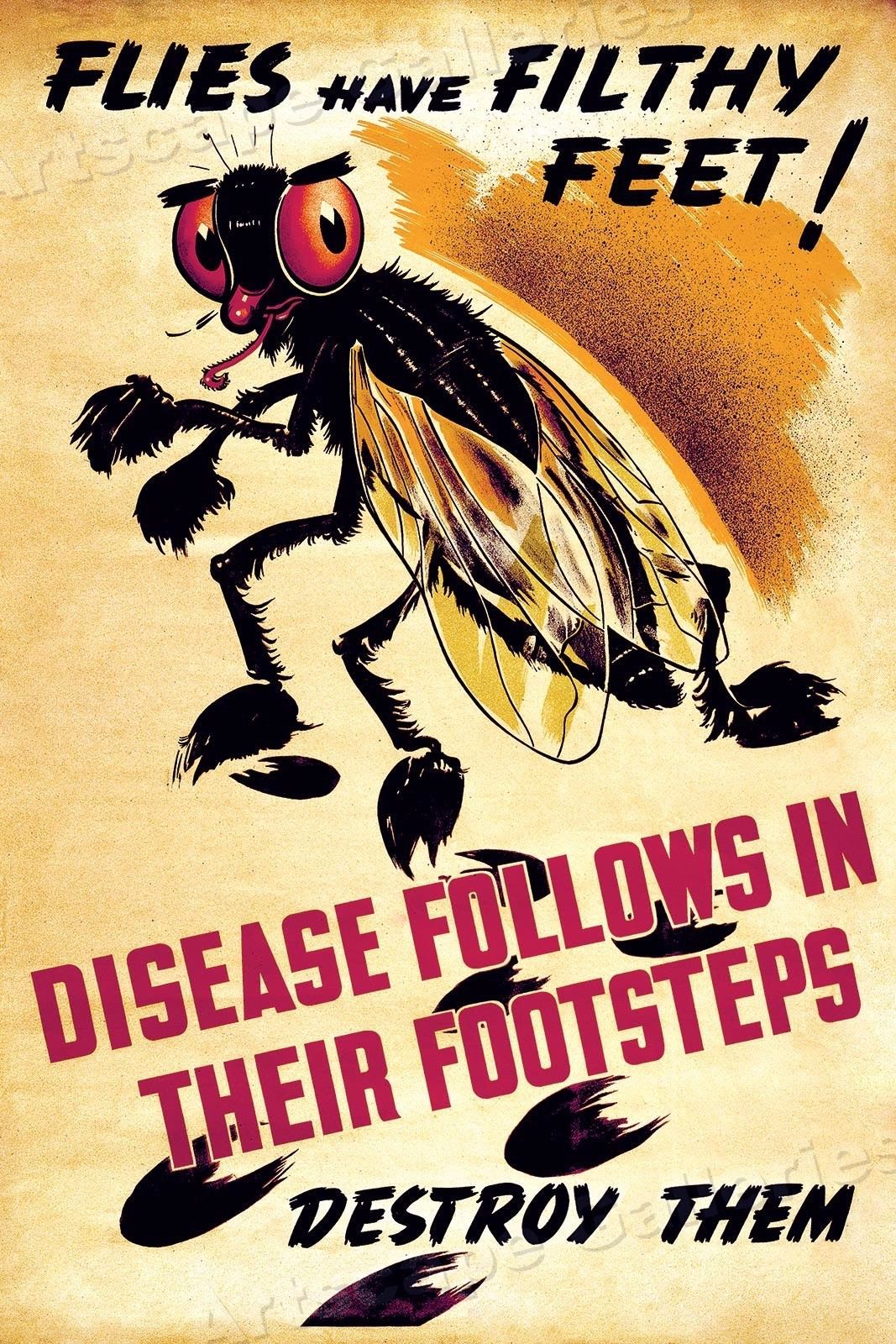Flies Have Filthy Feet! Vintage Public Health Poster 1940  Fine Art Print