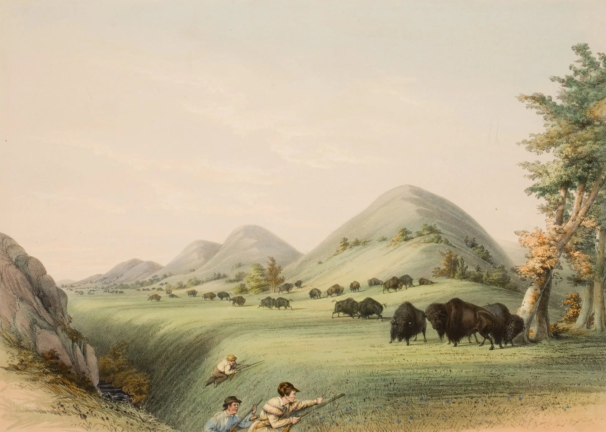 {{ product_title }} Fine Art Print | {{ product_vendor }} Jakero77 George Catlin - Buffalo Hunt Approaching in a Ravine (1844) Fine Art Print Art Print  Jakero77