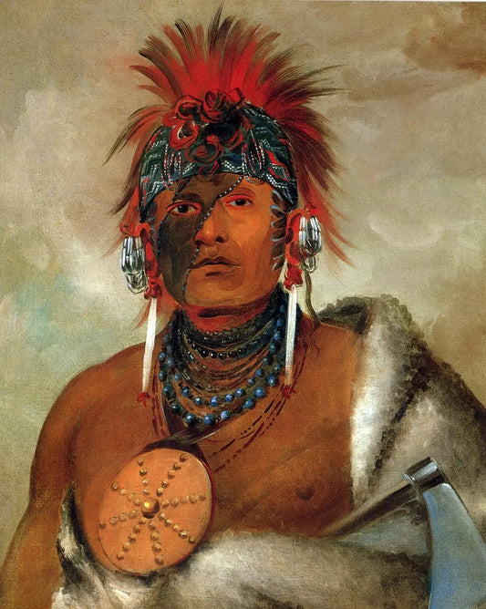 {{ product_title }} Fine Art Print | {{ product_vendor }} Jakero77 George Catlin - Wá-hón-ga-shee No Fool A Great Fop (1832) Art Print Art Print  Jakero77