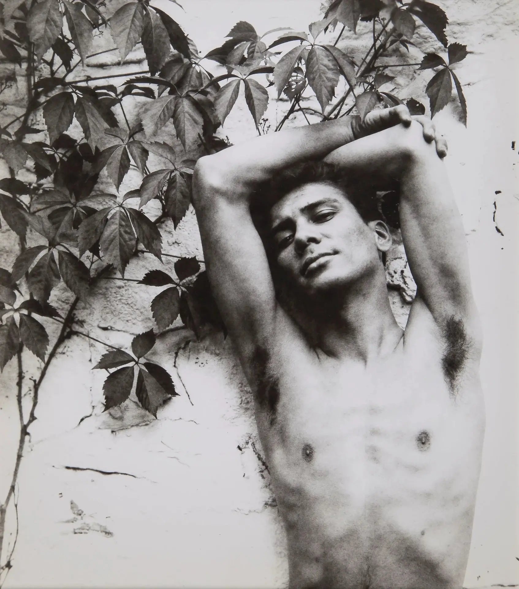 {{ product_title }} Fine Art Print | {{ product_vendor }} Jakero77 George Platt Lynes - Roberto Rolf (1940s) Gay Model Fine Art Print Art Print  Jakero77