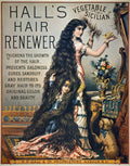 Hall's Hair Renewer Vintage Advertising Poster Print 1880  Fine Art Print