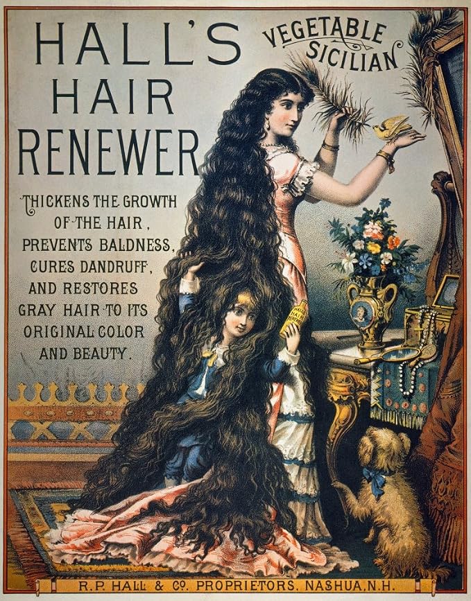 Hall's Hair Renewer Vintage Advertising Poster Print 1880  Fine Art Print