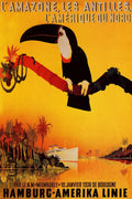 Hamburg America Line Amazon River Vintage Travel Poster 1930 Fine Art Print